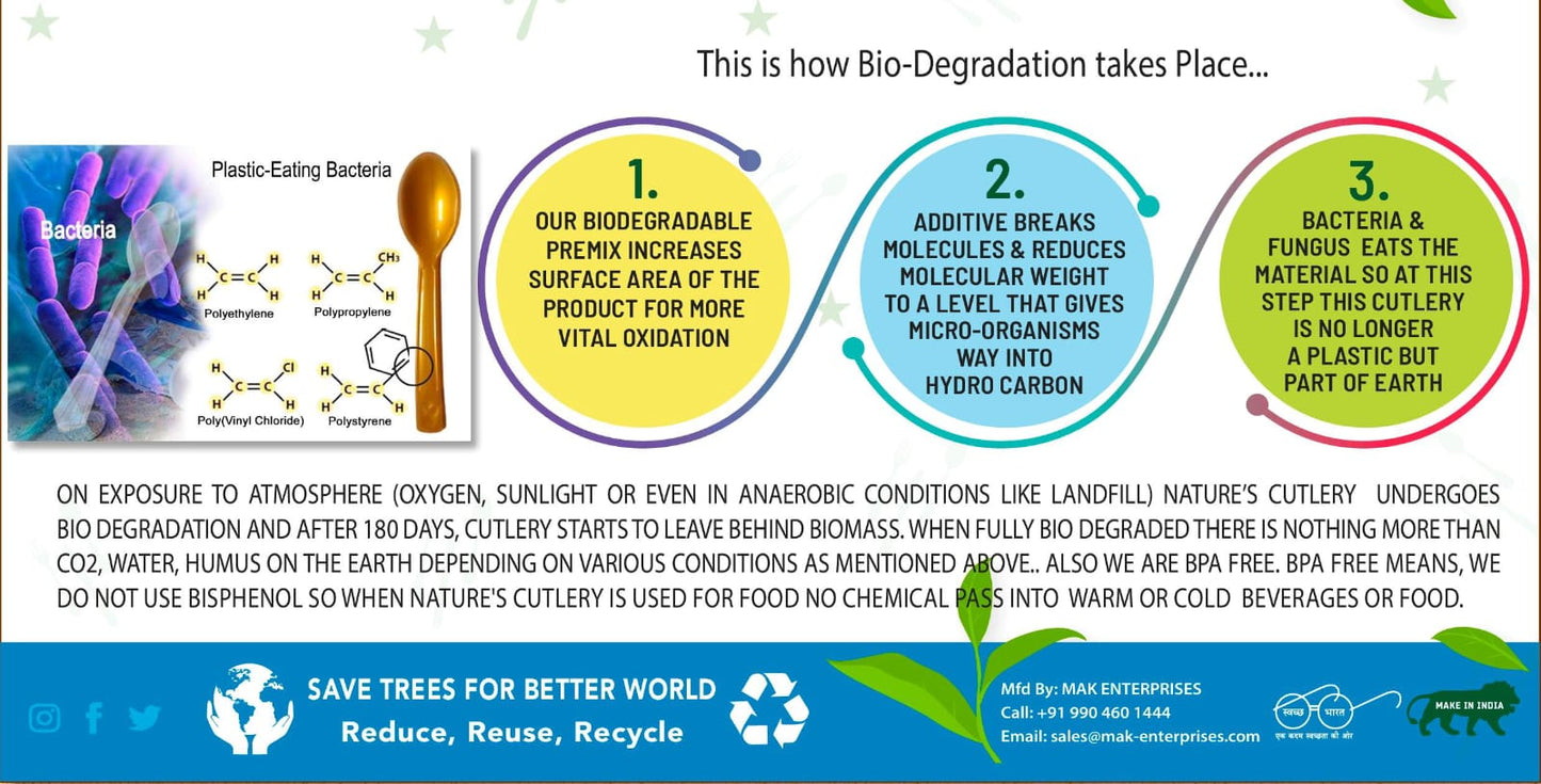 Disposable Biodegradable Plastic Spoon