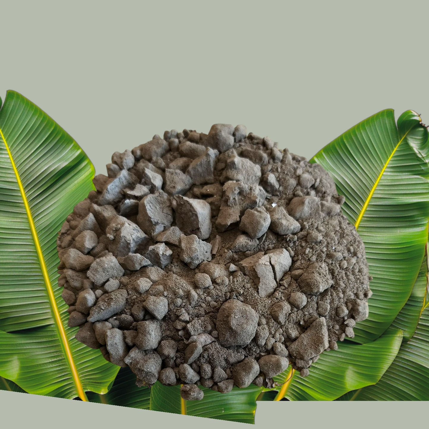 Ganga Mitti for Pooja and Navratri - 500 gms