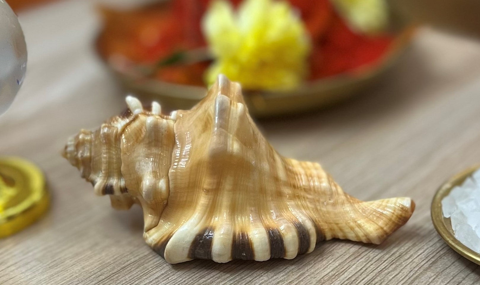 lord  Ganesha divine blessings