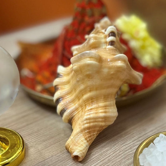 Shankh Ganpati Shankh