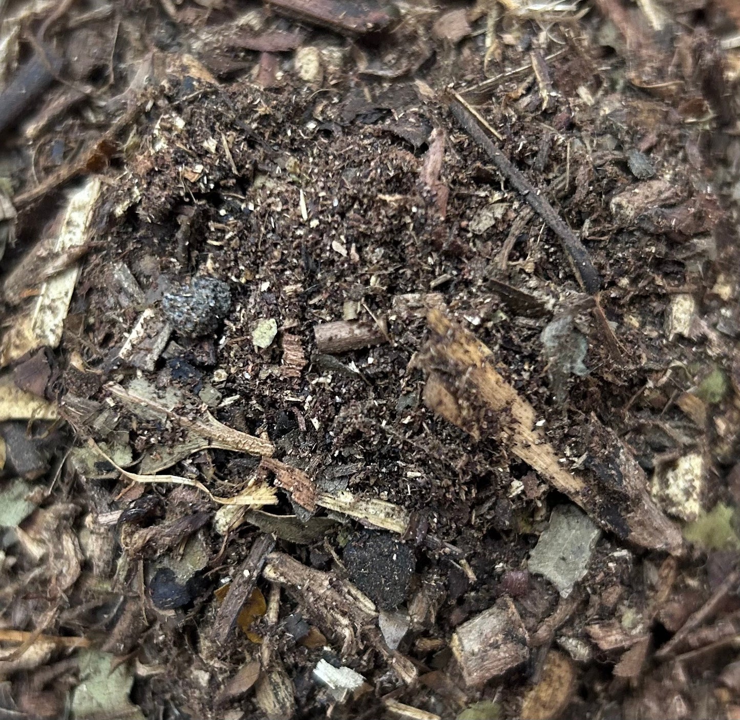 Havan Samagri