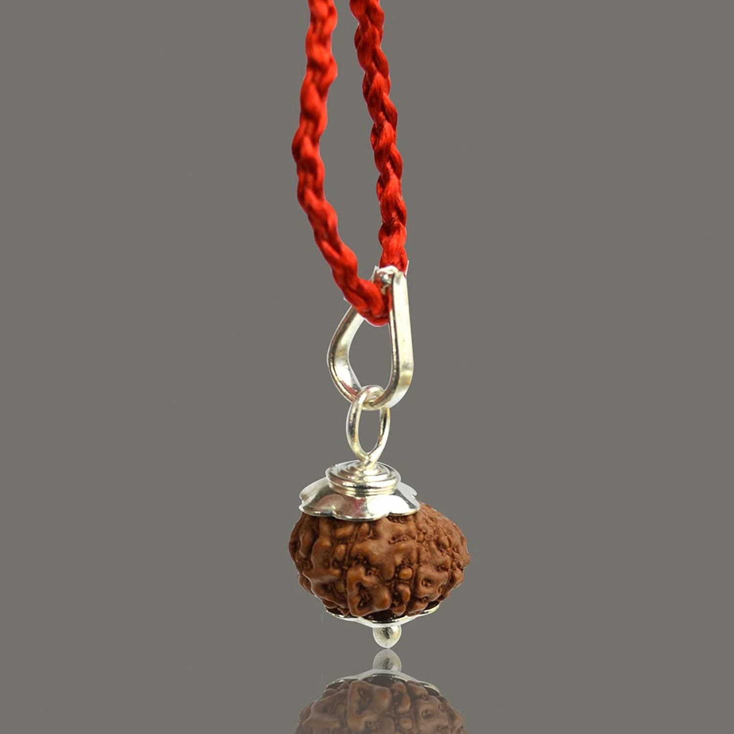 Close-up of Original 10 Mukhi Rudraksha Bead – Certified Das Mukhi Rudraksha for Protection and Spiritual Growth
