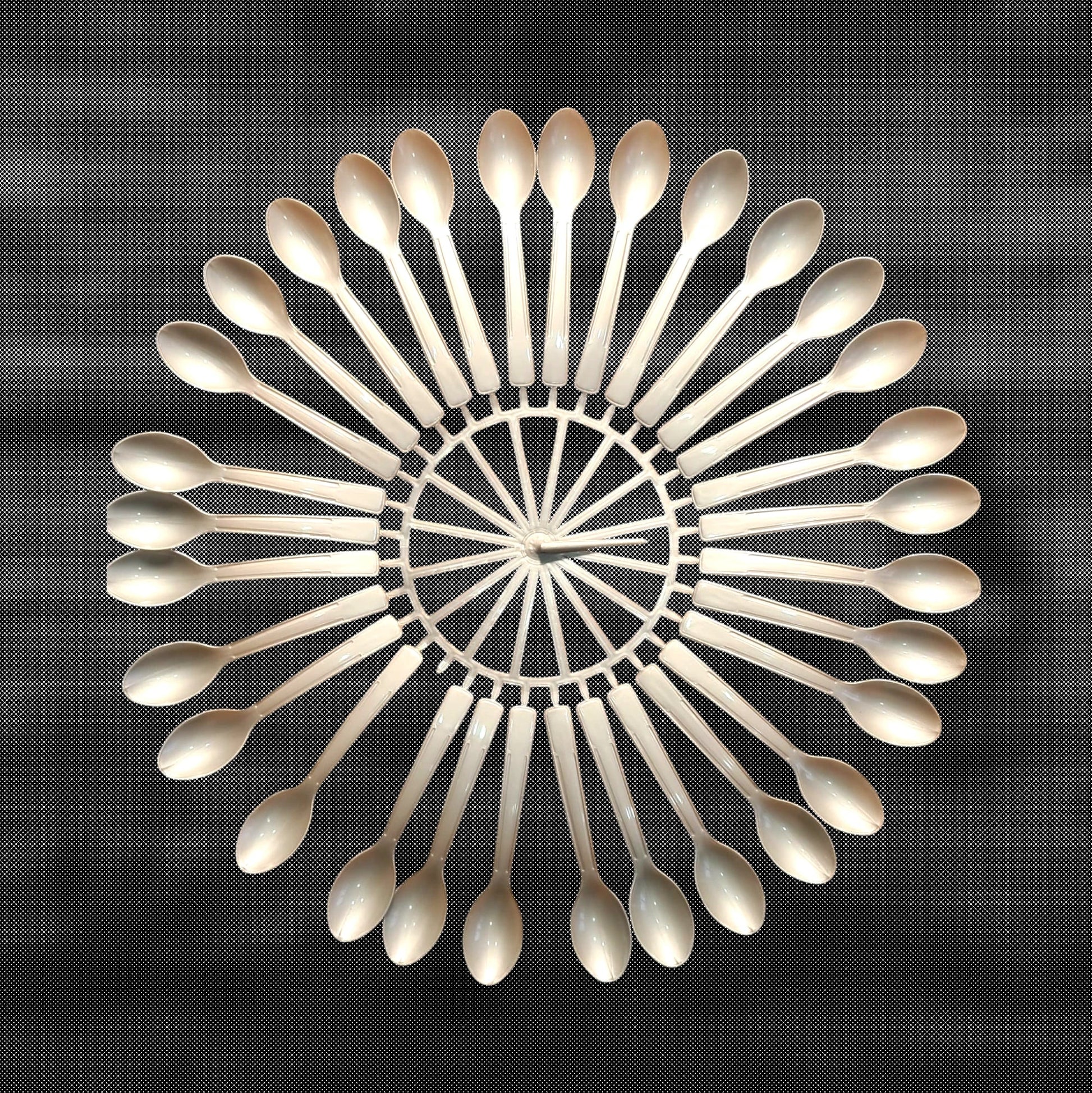 Disposable Biodegradable Plastic Spoon