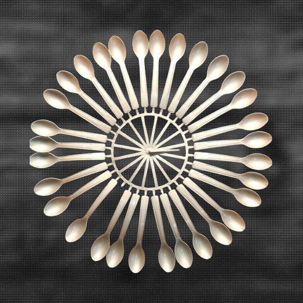 Disposable Biodegradable Plastic Spoon