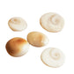 Peeli Kaudi (Yellow Cowrie Shell) used in Lakshmi worship to attract wealth, prosperity, and balance planetary effects like Jupiter, Ketu, and Rahu.