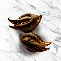 Bat Head Root / Devil's Pod for Pooja & Protection Rituals