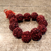 Big Rudraksha Bracelet 11 Rudrakshas