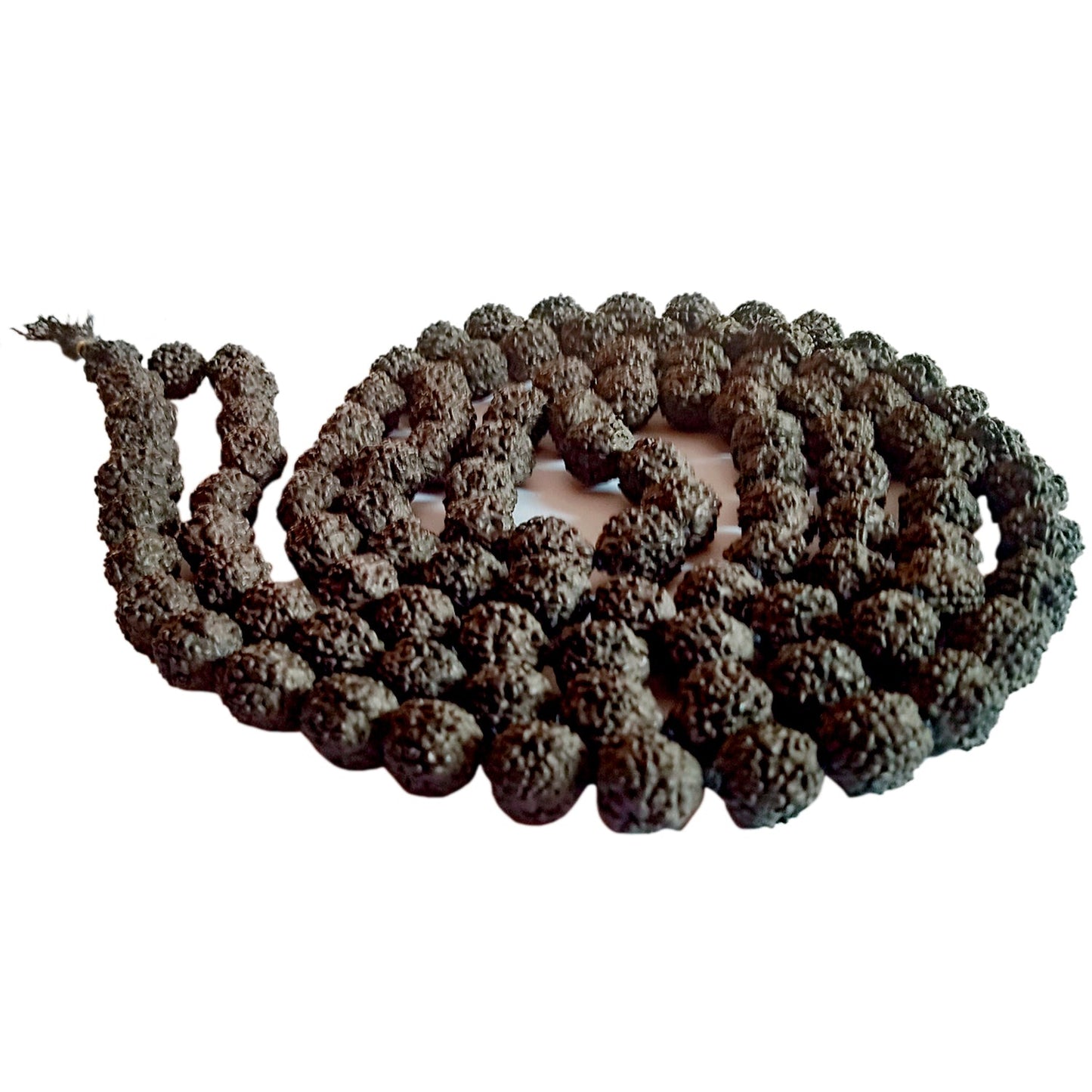 Jaap Mala Natural Black Rudraksh Jaap Mala (108 Beads)