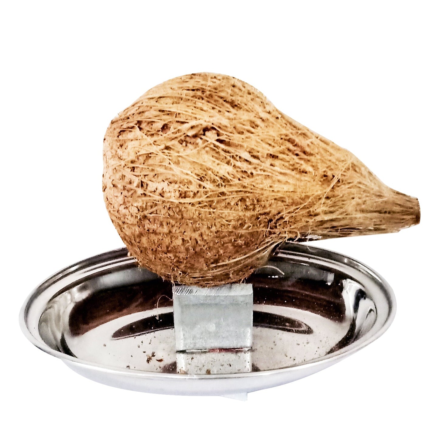 Stylish Round Coconut Breaker Stainless Steel (Heavy Duty)