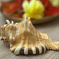 lord  Ganesha divine blessings