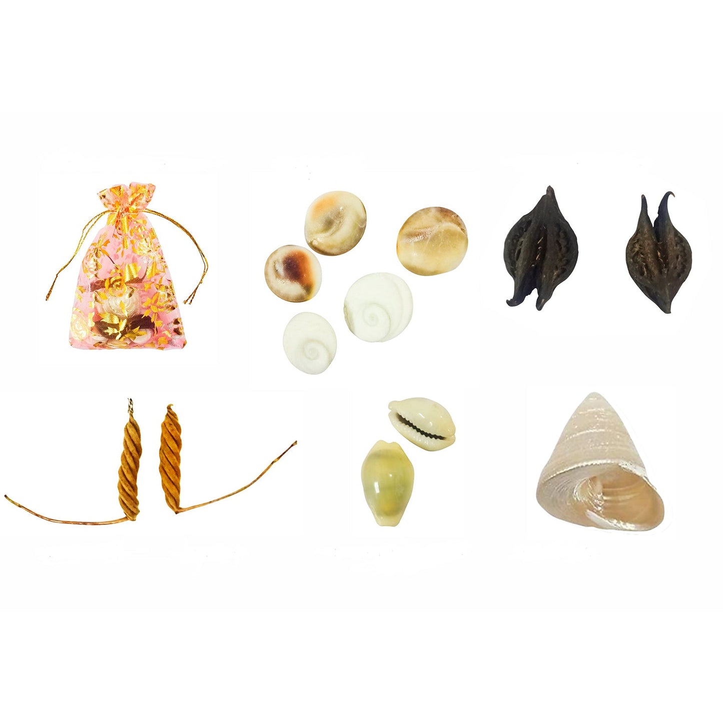 Devi Sri Guru ji Kit- Devil's Pod Nazar Kit- 2 Pcs Bala MUDI Yeda MUDI- 1 Pc, Gomti Chakra -05 Pcs, Laxmi Gavvulu-2 Pcs, Free Pouch-1 Pc