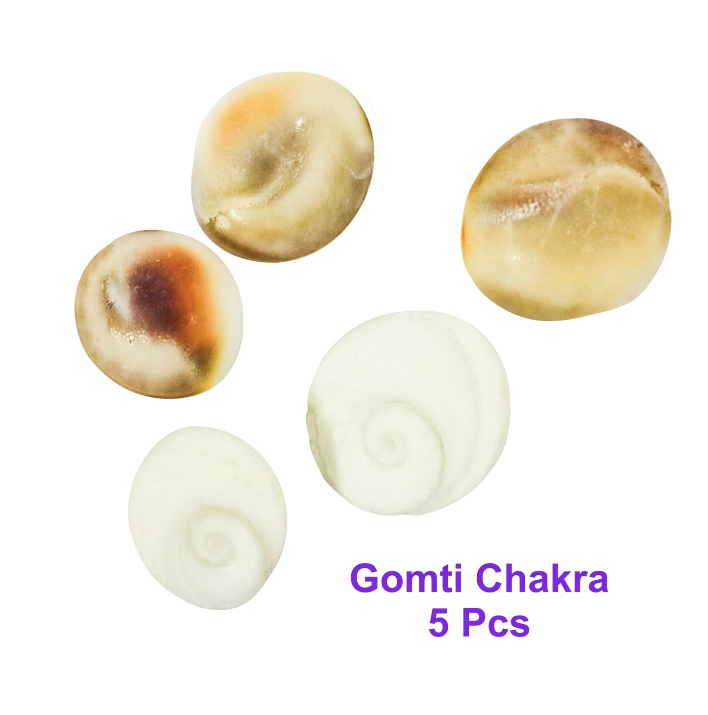 Devi Sri Guru ji Kit- Devil's Pod Nazar Kit- 2 Pcs Bala MUDI Yeda MUDI- 1 Pc, Gomti Chakra -05 Pcs, Laxmi Gavvulu-2 Pcs, Free Pouch-1 Pc