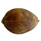 Kuber Potli for Prosperity