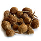 Kuber Potli for Prosperity
