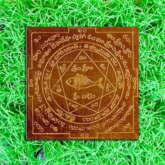 Yantra Matsya Yantram for Home / Office / Pooja Ghar / Vastu Matsya Yantra (6 Inches * 6 Inches)