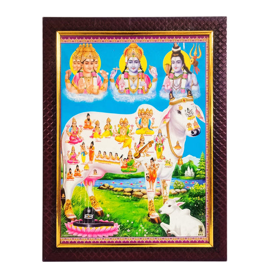 Kamdhenu Cow with all Devatas Photo Frame (10 Inches * 12.5 Inches)