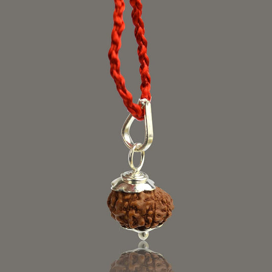 Rudraksha Original Certified 10 Face Rudraksha