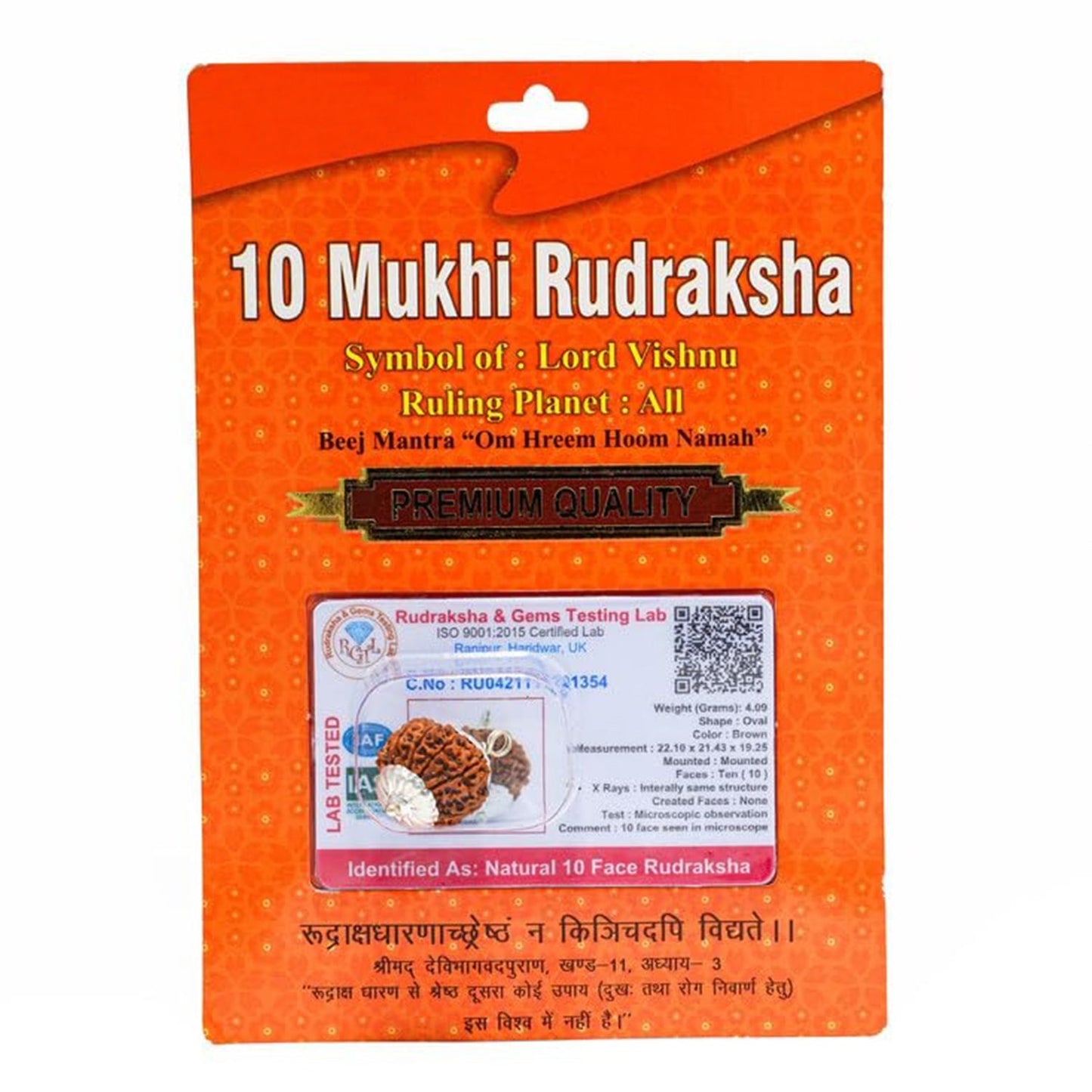 Rudraksha Original Certified 10 Face Rudraksha